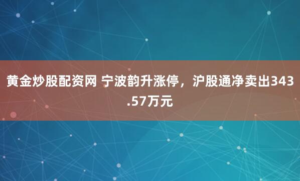 黄金炒股配资网 宁波韵升涨停，沪股通净卖出343.57万元